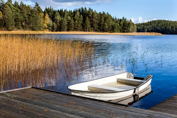 Forest pier — Stock Photo, Image