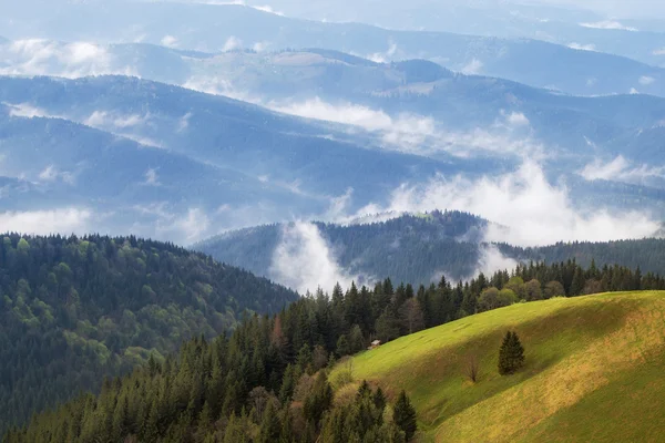 Karpat upland mera