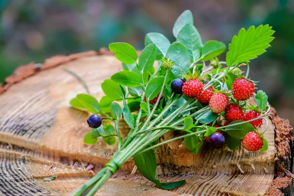 Bouquet of wild berries — Stock Photo, Image