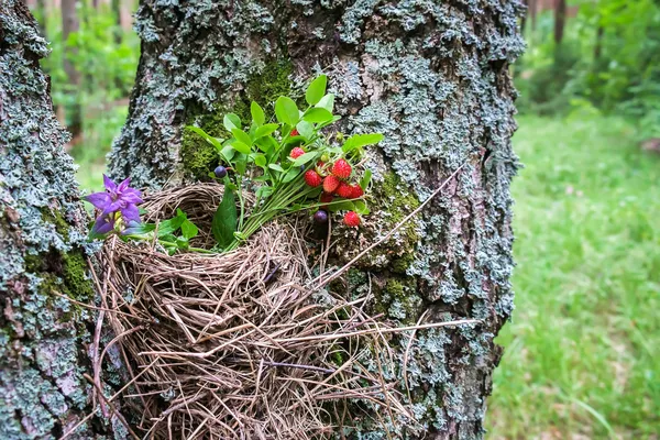 Nido di paglia con bouquet di fragola — Foto Stock