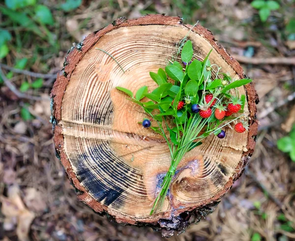 Bouquet di fragole sul ceppo — Foto Stock