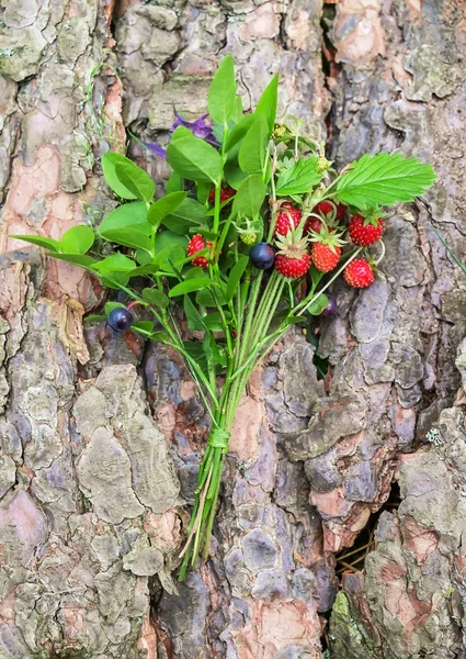 Sweet berries on the bark — Stock Photo, Image