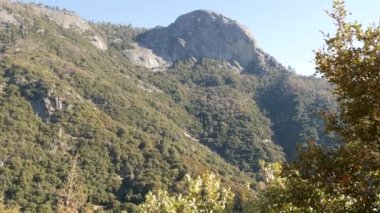 Sequoia Ormanı Ulusal Parkı 'ndaki Moro Rock' tan panoramik manzara, Kuzey Kaliforniya, ABD. Sierra Nevada dağlarındaki ağaçlara, kozalaklı ağaçlara tepeden bakan ağaçlara. Krallar Kanyonu 'nun yakınındaki görüş açısı
