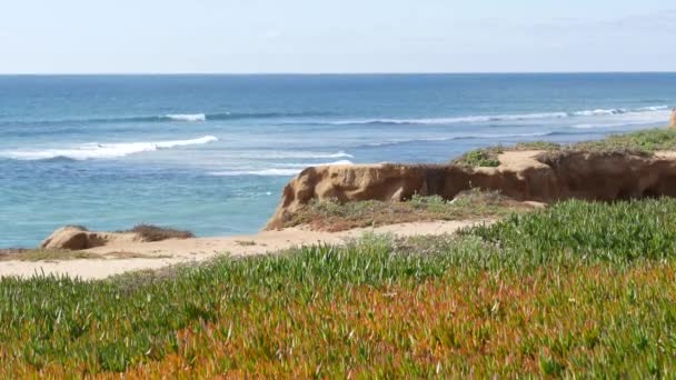 Seascape vista point, Kaliforniens kust USA. Havsvatten, blå havsvåg med utsikt. Isväxtsaft. — Stockvideo