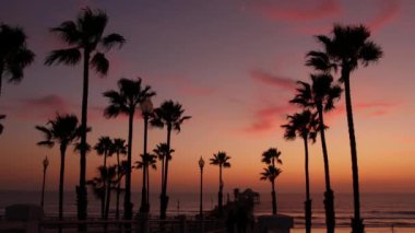 Kaliforniya 'da palmiyeler ve alacakaranlık gökyüzü. Tropik okyanus sahili günbatımı atmosferi. Los Angeles titreşimleri.