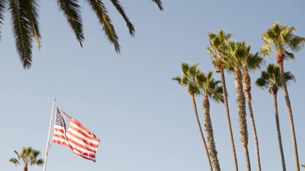 パームとアメリカの国旗,ロサンゼルス,カリフォルニア州.サンタモニカとヴェネツィアビーチの夏の審美的な。星条旗、星とストライプ。ハリウッドの愛国心の雰囲気。旧栄光 — ストック動画
