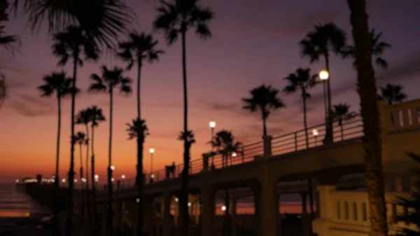 Odaklanamayan palmiyeler, alacakaranlık gökyüzü, Kaliforniya ABD. Tropik plaj günbatımı atmosferi. Los Angeles titreşimleri. — Stok fotoğraf