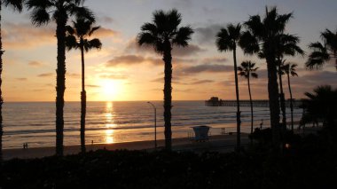 Kaliforniya 'da palmiyeler ve alacakaranlık gökyüzü. Tropik okyanus sahili günbatımı atmosferi. Los Angeles titreşimleri.