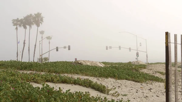 Trafikljussemafor, landsväg vid dimmiga stranden, Kalifornien USA. Dimma på havets kust. — Stockfoto