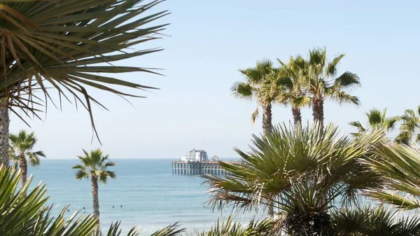 Pacific ocean beach, palm tree and pier. Tropical waterfront resort near Los Angeles California USA. — Stock Photo, Image