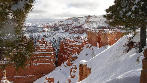 Bryce Canyon télen, hó Utah-ban, USA. Hoodoos amfiteátrumban, erodált dombormű, panorámás kilátó. Egyedülálló narancssárga alakzat. Vörös homokkő, tűlevelű fenyő vagy fenyő. Ökoturizmus Amerikában — Stock Fotó