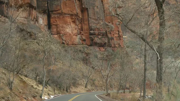 Autókirándulás, autókázás Zion Canyonban, Utah, USA. Stoppolok, utazom Amerikában, őszi utazás. Vörös idegen meredek sziklák, eső és csupasz fák. Ködös időjárás és nyugodt őszi hangulat. Kilátás autóból — Stock Fotó