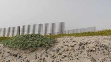 Tahta çit, kumlu plaj, California USA. Pasifik Okyanusu kıyıları, denizin sisi....