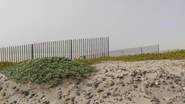 Cerca de madeira do piquete, praia nebulosa arenosa, Califórnia EUA. Costa do Oceano Pacífico, neblina na costa do mar. — Vídeo de Stock