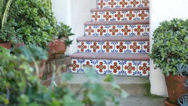 カリフォルニア州での園芸、植木鉢での成功。緑の家の植物、粘土鍋。メキシコの庭のデザイン、乾燥砂漠の装飾的な花序。植物観賞用の緑。階段のカラフルなタイル — ストック動画