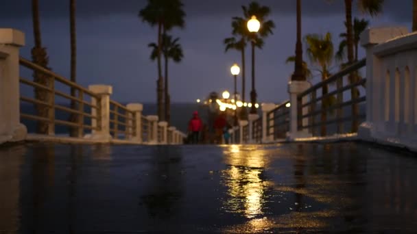雨滴，晚上在美国加利福尼亚海洋边。码头，黄昏中的棕榈。光的反射. — 图库视频影像