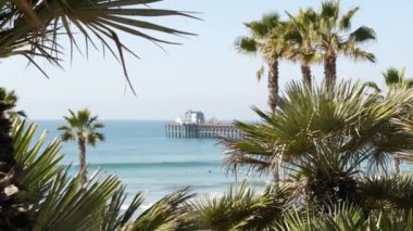 Pasifik Okyanusu plajı, yeşil palmiye ağaçları ve iskele. Güneşli bir gün, tropik sahil beldesi. Vista bakış açısı Oceanside 'da, Los Angeles California USA yakınlarında. Yaz denizi estetiği, deniz manzarası ve mavi gökyüzü.