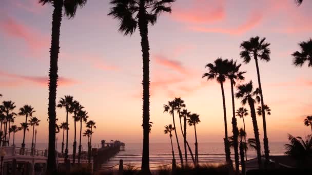 Palmeras y cielo crepuscular en California EE.UU. Ambiente de atardecer en la playa tropical oceánica. Los Ángeles vibraciones. — Vídeos de Stock