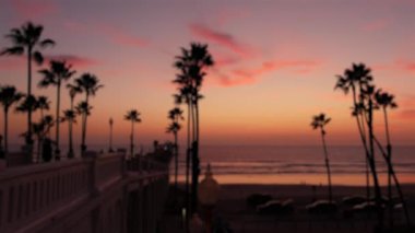 Odaklanamayan palmiyeler, alacakaranlık gökyüzü, Kaliforniya ABD. Tropik plaj günbatımı atmosferi. Los Angeles titreşimleri.