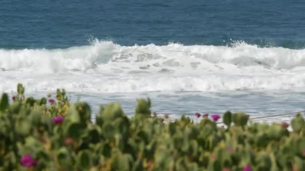 Stora blå vågor på stranden, Kaliforniens kustlinje USA. Stilla havets kust, grönska på havets strand. — Stockvideo
