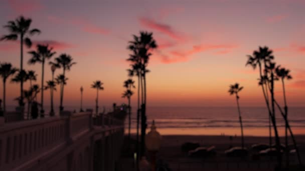 パーム、薄明かりの空、カリフォルニア州米国。熱帯のビーチ夕日の雰囲気。ロサンゼルスの波. — ストック動画