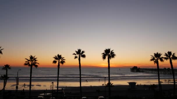 Пальми та сутінки у Каліфорнії. Сонячна атмосфера на пляжі тропічного моря. Лос - Анджелес. — стокове відео