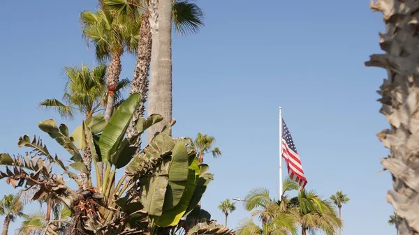 Palmy a americká vlajka, Los Angeles, Kalifornie USA. Léto estetiky Santa Monica a Venice Beach. Hvězdami posetý prapor, hvězdy a pruhy. Atmosféra vlastenectví v Hollywoodu. Stará sláva — Stock fotografie