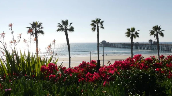 Oceaanstrand, palmboom en pier. Tropische badplaats aan het water bij Los Angeles California Verenigde Staten. — Stockfoto