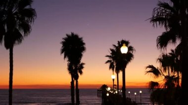 Kaliforniya 'da palmiyeler ve alacakaranlık gökyüzü. Tropik okyanus sahili günbatımı atmosferi. Los Angeles titreşimleri.