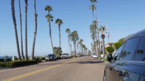 Rozostřená silnice s palmami v Kalifornii, tropická pláž. Los Angeles Hollywood estetic. — Stock video