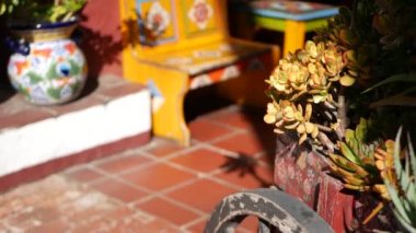 Çiçek saksısında sulu, Kaliforniya 'da bahçıvanlık. Renkli kil kaplarda yeşil ev bitkileri. Meksika tarzı bahçe tasarımı, kurak çöl dekoratif çiçekçilik. Doğal botanik süslemeleri.