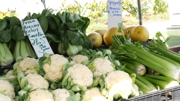Legumes orgânicos no balcão, produtos locais frescos caseiros na barraca. Mercado de alimentos para agricultores nos EUA. — Vídeo de Stock