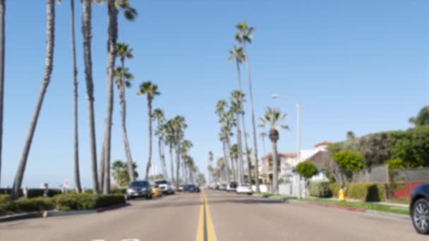 Estrada desfocada com palmeiras na Califórnia, praia tropical oceânica. Estética de Los Angeles Hollywood. — Vídeo de Stock