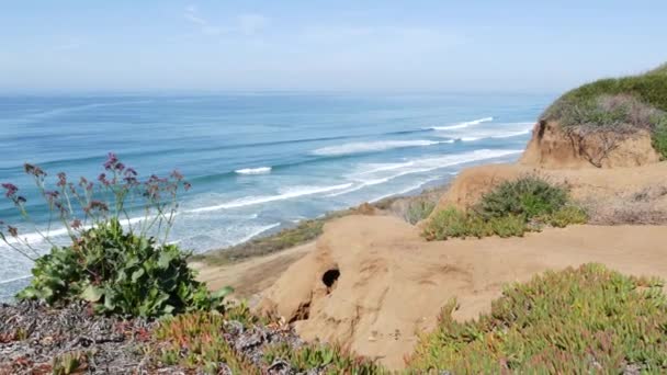シースケープヴィジットポイント、デル・マー・トーリー・パインズ、カリフォルニア州海岸USA 。潮、青い海の波を見落とす — ストック動画