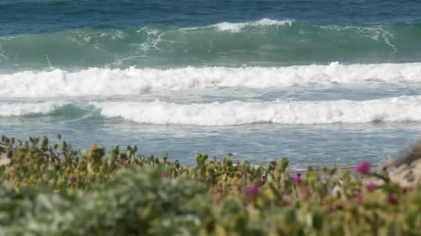 Grandes ondas de maré azul na praia, Califórnia litoral EUA. Oceano Pacífico costa, vegetação na costa do mar. — Vídeo de Stock