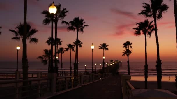 カリフォルニア州のヤシと夕暮れの空米国。熱帯の海のビーチ日没の雰囲気。ロサンゼルスの波. — ストック動画