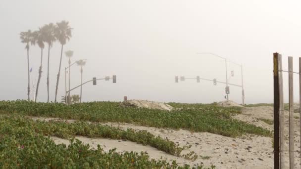 Проїзд світла семафор, автодорога на туманному пляжі, штат Каліфорнія, США. Туман на узбережжі океану. — стокове відео