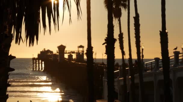 Pessoas andando no cais de madeira, Califórnia EUA. Mar beira-mar férias turísticas resort. — Vídeo de Stock
