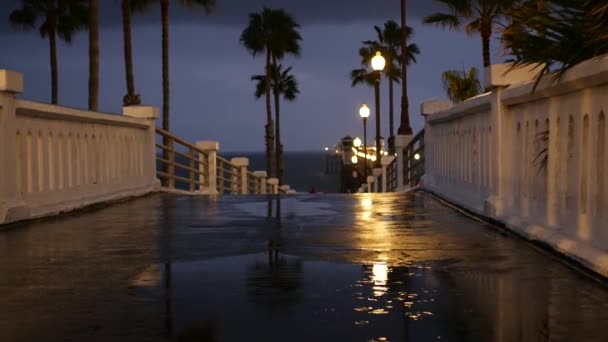 Gocce di pioggia, serata nell'Oceanside California USA. Pier, palme al crepuscolo. Riflessione della luce. — Video Stock