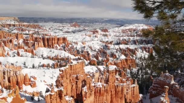 Bryce Canyon en invierno, nieve en Utah, EE.UU. Hoodoos en anfiteatro, relieve erosionado, mirador panorámico. Formación naranja única. Arenisca roja, pino conífero o abeto. Ecoturismo en América — Vídeo de stock