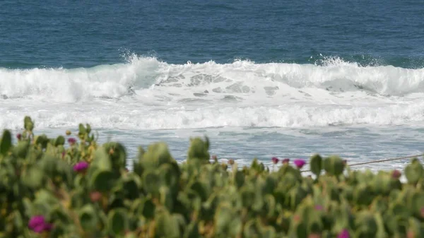 Velké modré přílivové vlny na pláži, Kalifornské pobřeží USA. Pobřeží Tichého oceánu, zeleň na pobřeží. — Stock fotografie