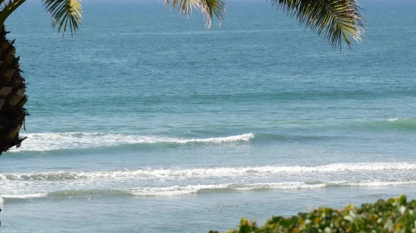 Marea del Océano Pacífico, California Beach USA. Olas marinas y palmeras en un día soleado. Vacaciones de verano. — Foto de Stock