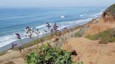 Seascape Vista Point, Del Mar Torrey Pines, Kaliforniya kıyısı ABD. Okyanus gelgiti, mavi deniz dalgası