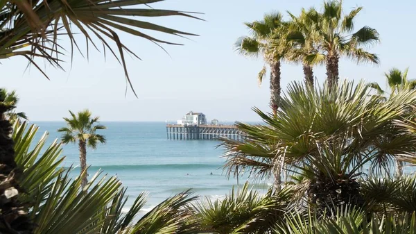 Pacific ocean beach, palm tree and pier. Tropical waterfront resort near Los Angeles California USA. — Stock Photo, Image