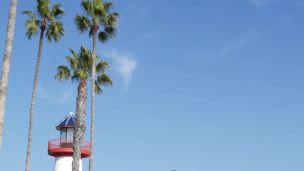 Mercusuar, pohon palem dan langit biru. Suar merah dan putih. Pelabuhan tepi laut desa. California USA — Stok Video