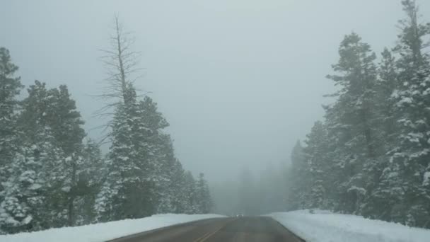 Nieve y niebla en el bosque invernal, conducción de automóviles, viaje por carretera en invierno Utah EE.UU.. Pinos de coníferas, misteriosa vista a través del parabrisas del coche. Bosque Misty Bryce Canyon. Ambiente tranquilo, neblina lechosa en madera — Vídeo de stock