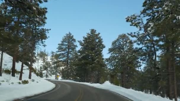 Neige en forêt hivernale, conduite automobile, road trip en hiver Utah USA. Pins résineux, vue de voiture à travers pare-brise. Vacances de Noël, voyage de décembre à Bryce Canyon. Eco tourisme dans les bois — Video