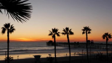 Kaliforniya 'da palmiyeler ve alacakaranlık gökyüzü. Tropik okyanus sahili günbatımı atmosferi. Los Angeles titreşimleri.