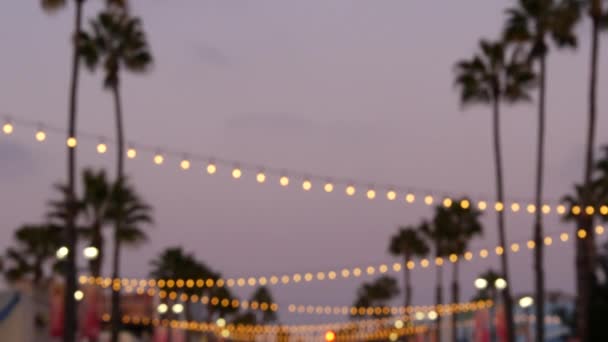 Ghirlanda elettrica, palme California USA. Tramonto sulla spiaggia, cielo crepuscolare sulla costa. Luci di Los Angeles. — Video Stock