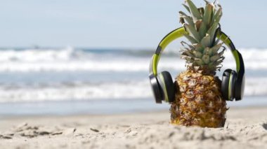 Kulaklıklı ananas, kumlu okyanus sahili. Tropik yaz egzotik meyveleri. Ananas kıyıda.